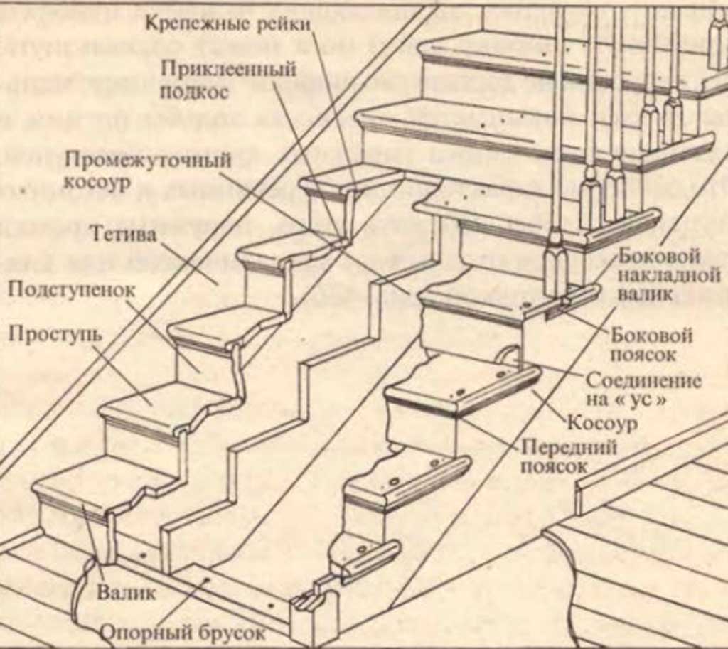 Виды ступеней. Что такое косоур и тетива лестницы. Лестница тетива или косоур. Элементы лестницы косоур. Конструкция деревянных лестниц на косоурах.